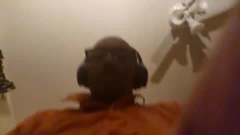 Phil online show from April 2026 07:19:01 AM