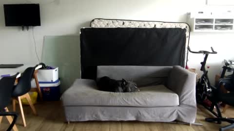 popopo0 online show from January 2025 05:24:02 PM