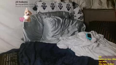 Snapshot of poppunk4life chatting on March 2025 07:10:01 AM Kyle online show from March 2025 07:10:01 AM