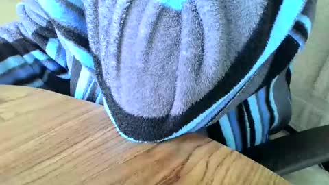 poshman65 online show from December 2024 11:29:01 AM