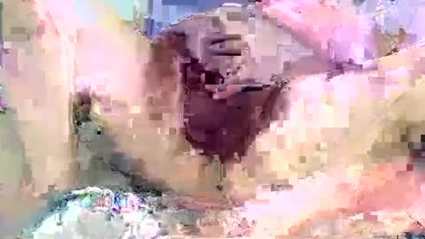 dikud0wn online show from September 2025 02:22:02 AM