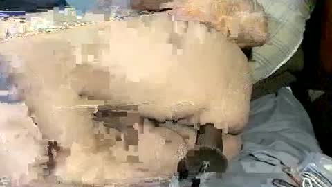 dikud0wn online show from September 2025 07:11:02 AM