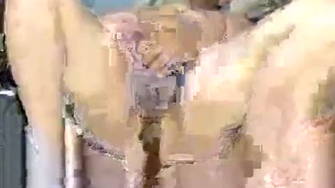 dikud0wn online show from November 2025 04:20:02 PM