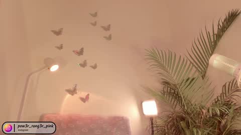 genie online show from December 2024 10:01:02 AM