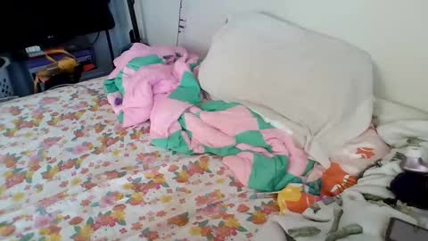 Snapshot of pppawg chatting on January 2025 04:34:01 PM PAWG Pale Princess online show from January 2025 04:34:01 PM