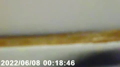 pretty_boy_jack online show from February 2025 02:56:02 AM