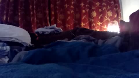 pretty_boy_jack online show from February 2025 06:03:01 AM