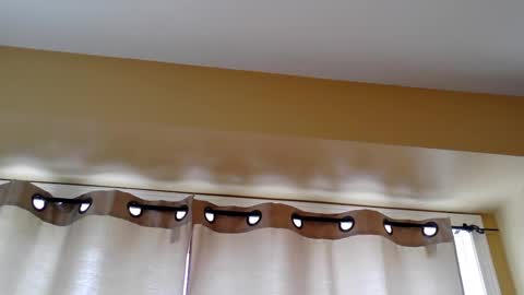 pretty_littletoy online show from March 2026 02:02:02 PM