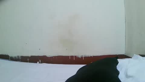 pretty_mellan online show from January 2025 11:22:02 AM