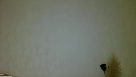 Sharon online show from January 2025 03:00:02 AM