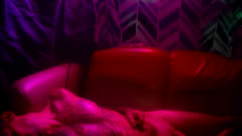 Prettyslangin69 FYPM online show from November 2025 05:12:02 PM