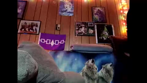 prettysolid7 online show from February 2026 10:52:01 AM