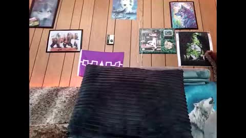 prettysolid7 online show from February 2026 01:08:02 PM