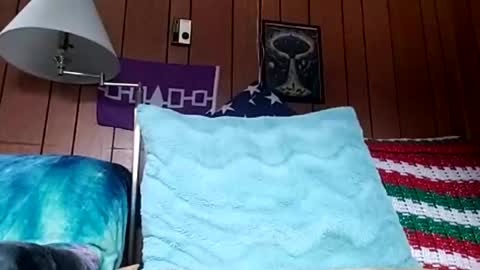 prettysolidd7 online show from December 2024 02:59:01 PM