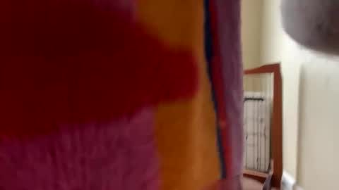 PrinceChas online show from March 2026 03:31:01 PM