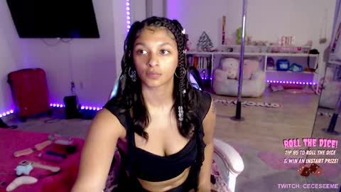 Cece  NEXT LIVESTREAM -- DEC. 4th  7 PM CST online show from April 2026 02:20:02 AM