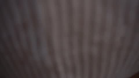 Snapshot of princessasiana chatting on February 2025 11:14:02 AM Assi Incognito girl online show from February 2025 11:14:02 AM