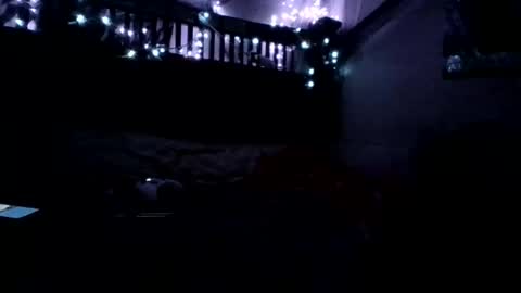 Snapshot of princesshollylove chatting on November 2025 08:22:02 AM Holly love online show from November 2025 08:22:02 AM