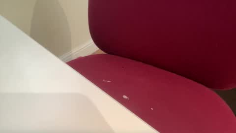 Snapshot of pritchj chatting on March 2025 12:37:01 PM pritchj online show from March 2025 12:37:01 PM