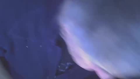 projectorepson online show from January 2026 07:35:01 AM