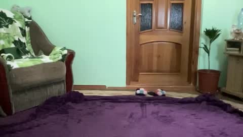 proud sweet 21 online show from September 2025 09:58:02 PM