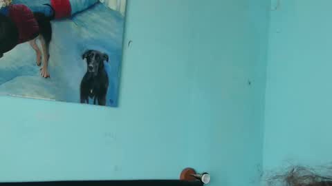 prxscillia_tx online show from November 2025 01:45:01 PM