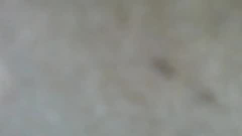 psachno online show from November 2025 12:37:02 PM