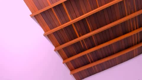 Mara online show from December 2024 08:52:02 AM