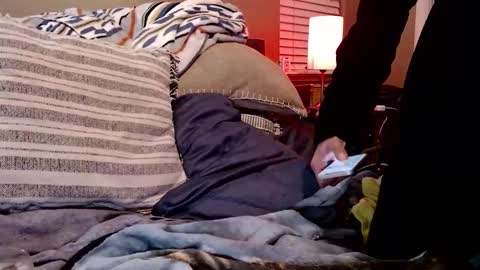 Snapshot of psilocipher chatting on February 2026 07:56:02 AM Sk8wave online show from February 2026 07:56:02 AM