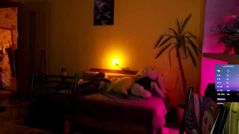 Snapshot of psyheya chatting on February 2026 11:50:01 AM LUCY ----- online show from February 2026 11:50:01 AM