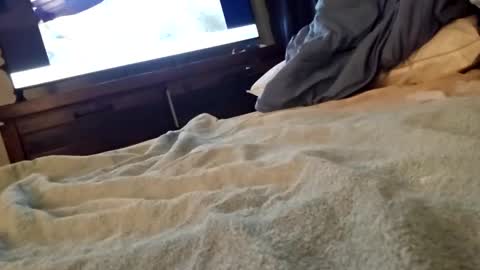 ptut82 online show from September 2025 07:10:02 AM