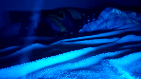 ptut82 online show from February 2026 09:41:02 AM