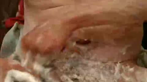 Snapshot of pulepower chatting on November 2025 09:09:02 AM pulepower online show from November 2025 09:09:02 AM