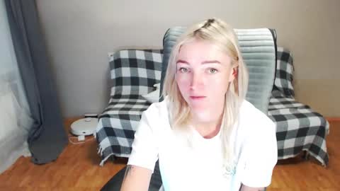 Polly online show from November 2025 11:49:02 AM