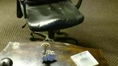 Jojo online show from October 2025 09:27:02 PM