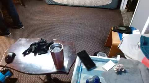 Jojo online show from April 2026 05:38:01 AM