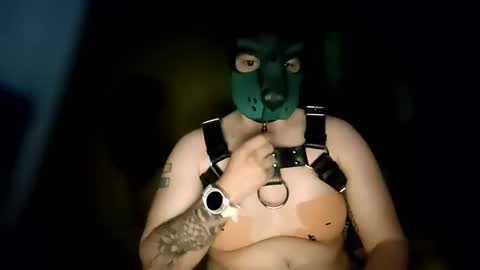 Pup Kori online show from June 2026 06:14:02 AM