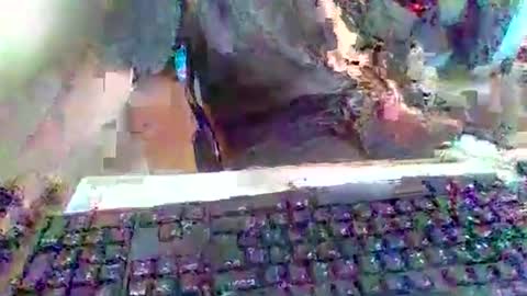 pup_y online show from September 2025 03:02:01 PM