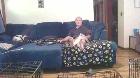 Mark online show from September 2025 02:44:02 PM