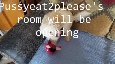 Rick online show from February 2025 10:51:02 AM