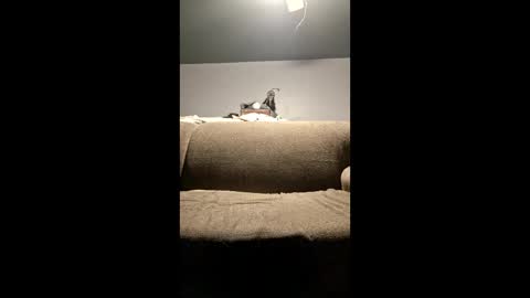 pussylicker517038 online show from April 2026 02:37:02 AM