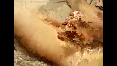 Snapshot of pussymoneyweed9125 chatting on September 2025 07:52:02 PM Thick Pussy banger online show from September 2025 07:52:02 PM