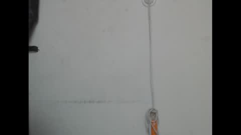 pussyxcockx online show from March 2025 01:29:02 PM