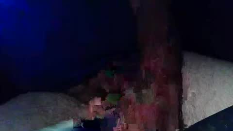 pyrichar31 online show from November 2025 01:05:02 AM