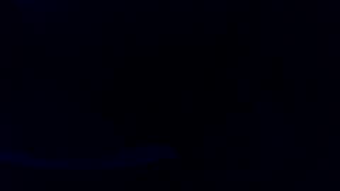 pyrichar31 online show from July 2026 03:01:01 AM