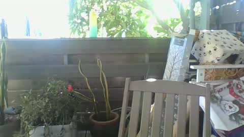 Python online show from February 2025 04:05:01 AM