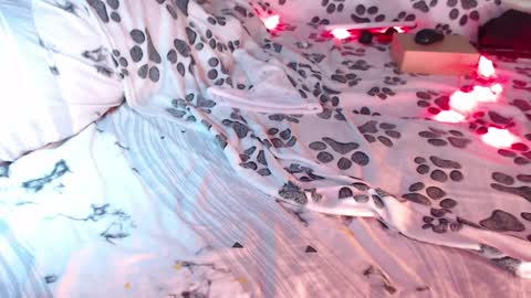 Snapshot of q_t_pie chatting on January 2025 03:27:02 AM Lita rat online show from January 2025 03:27:02 AM