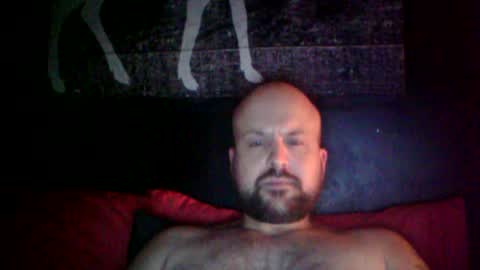 Snapshot of quebecboy233 chatting on July 2026 02:54:02 AM quebecboy233 online show from July 2026 02:54:02 AM