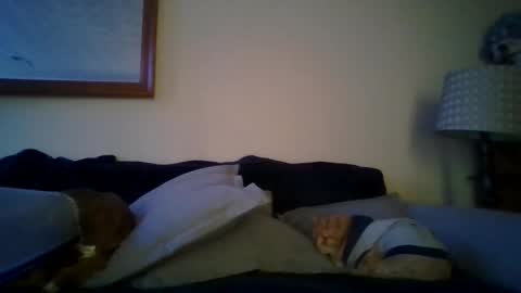 queenbee6269 online show from February 2025 05:51:01 PM