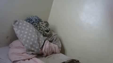 melly online show from January 2025 11:13:02 AM